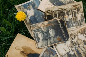 Old genealogy photos on some grass